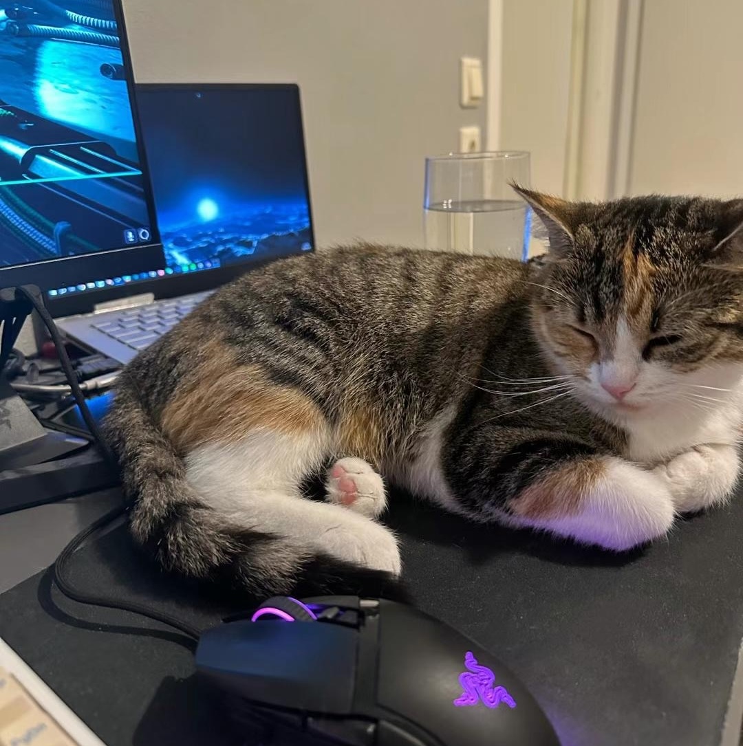 Profile Picture of Adrián Moreno (@zetxek), working side by side with a colleague: sitting on a desk, while looking at a screen